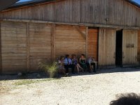 IMG 0245  then lunch in the brilliant sun