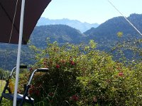 IMG 0287  The setting