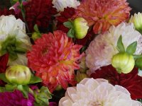 IMG 20160814 005941  A lovely bouquet for Christine from her girls