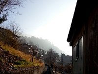 20161231 105527  Dazzled by the light coming back from the garden