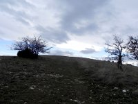 DSCN9042  It is austere