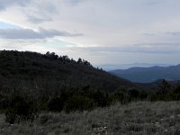 DSCN9048  Thickets below the ridgeline