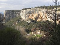 DSCN9064  Quite sheer!