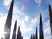 DSCN9077  we took a similar photo long ago