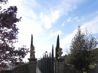 DSCN9079  who lives here?