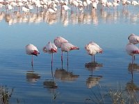 20161222 134043  Art