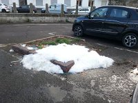 20161222 161427  ?? ice in Arles