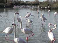 DSCN9204  mixing it up