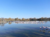 DSCN9219  wonderful!