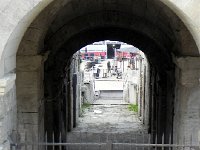 DSCN9246  Remember the red wood and the cats?