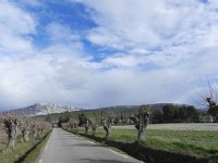 DSCN9120  Provençal