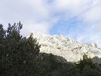 DSCN9124  Olive groves on its flank