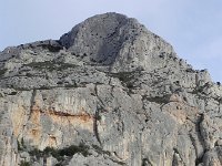 DSCN9126  Chunk of limestone