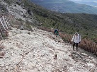 DSCN9134  bare rock and fenced