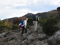 DSCN9138  along the ridge