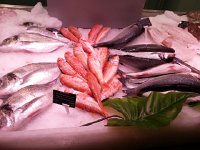 20161217 170757  fish