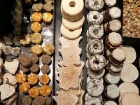 20161217 170922  and cookies