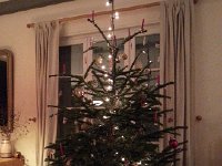 20161217 195359  Christmas tree