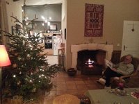 20161217 195604  Right at home!