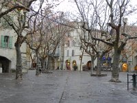 DSCN9111  Sparkle-y lights on the sycamores