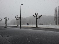 20160212 145436  The flakes are big and thick...