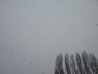 20160212 145711  falling out of the sky.