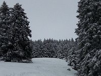 20160224 121626  Untracked but not powder on the Piste de Diable