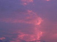 DSCN6125  and better