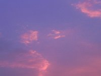 DSCN6126  A suitable end to the month!