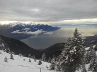 20160109 160502  almost wintry!