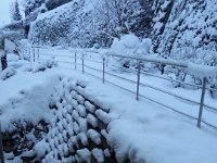 20160116 082344  Morning snow