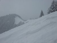 20160116 155134  Note the hill in the distance (see 9 Jan!)