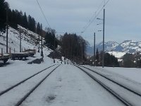 20160127 143738  Hear that train 'a comin' I