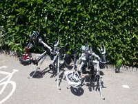 20160707 124241  7 July - these are supposed to be bicycles..