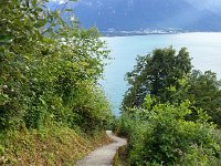 20160713 190824  13 July - Sentier du Télégraphe