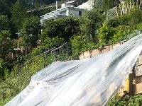 20160715 172326  15 July - a retaining wall collapses from the heavy rais