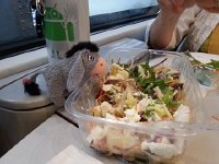 20160701 115458  where you could eat and drink at your train seat!