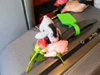 20160701 125447  And smell the flowers along the way