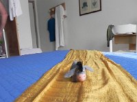 DSCN6855  Eeyore reliving highlights of the day