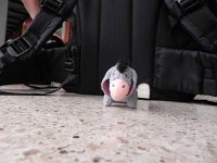 DSCN6865  He too wished that we had better data!