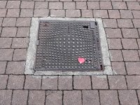 DSCN6871  Interesting treatment for a metal cover