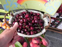 DSCN6878  These cherries were HUGE!