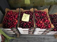 DSCN6879  Almost the size of plums!