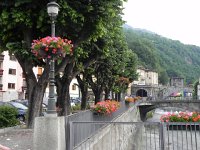 DSCN6887  Streamside geraniums