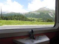 DSCN6961  Eeyore checks out the Engadin