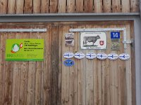 DSCN6970  We are in the country of the Brown Swiss