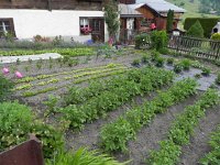 DSCN6971  and productive, clean gardens