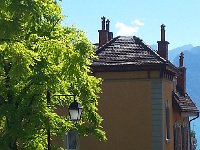 20160703 161215  Locust I guess