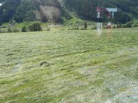 DSCN7000  Making hay while the sun shines..