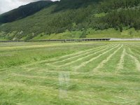 DSCN7002  in the upper Rhone